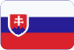 Licencia de conductor profesional Slovensky